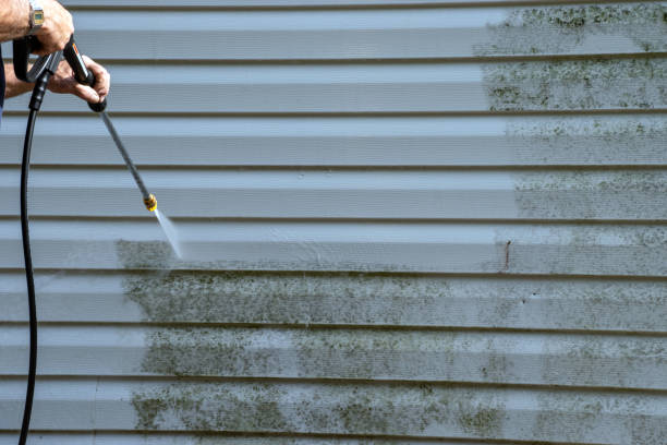 Best Storm Damage Siding Repair  in Weyers Cave, VA