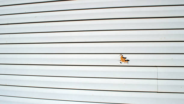 Best Insulated Siding Installation  in Weyers Cave, VA