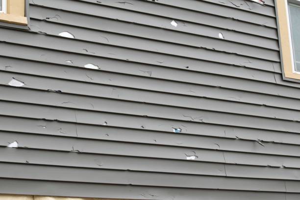 Best Historical Building Siding Restoration  in Weyers Cave, VA