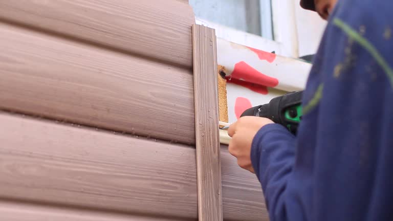 Best Siding Painting and Refinishing  in Weyers Cave, VA